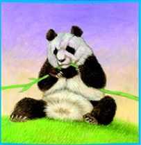 Streicheln eines Pandabrchens